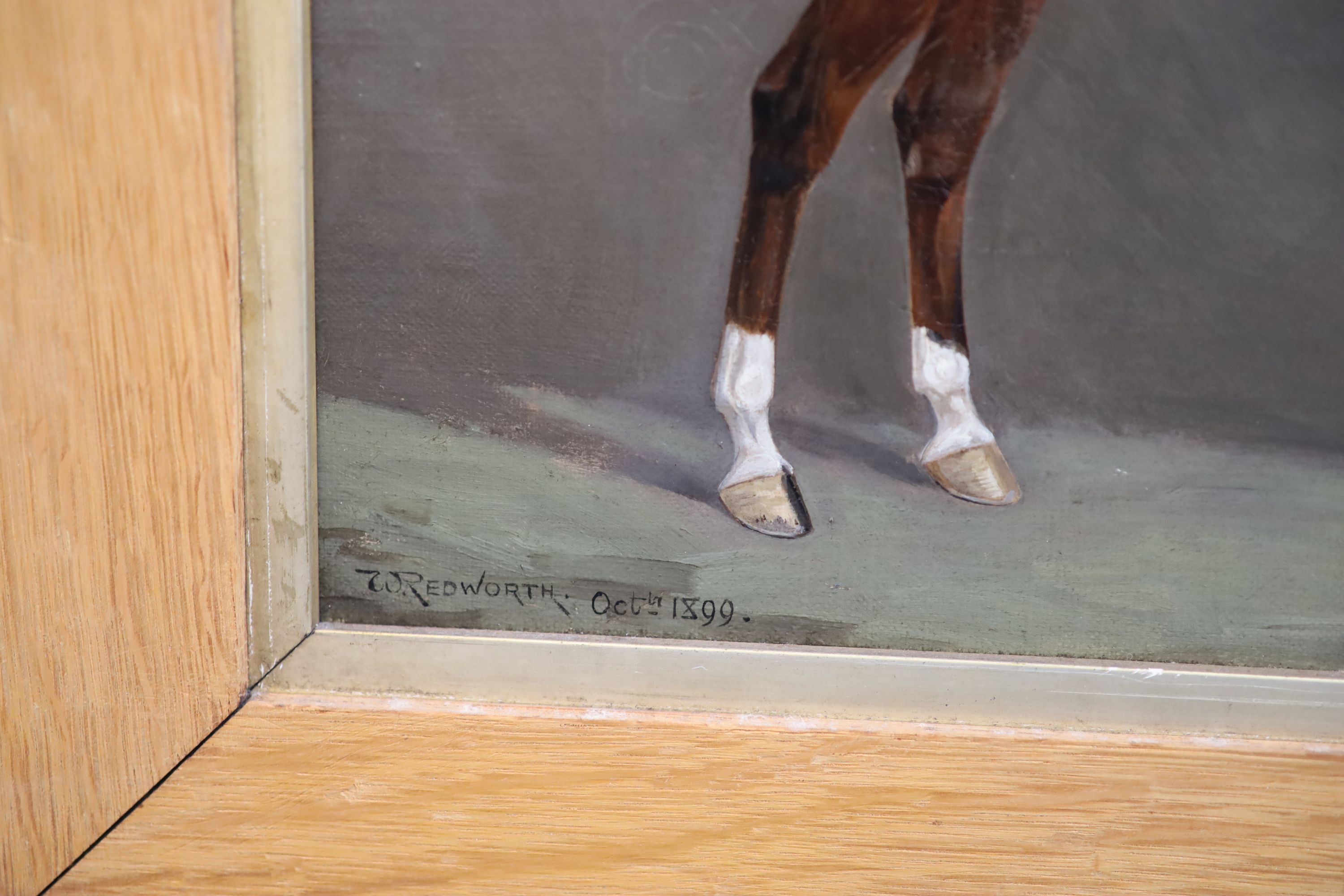William Joseph Redworth (1873-1941) Portraits of Racehorses: Archdeacon, Chanois, Lord Dalmahoy and Niger 11.75 x 15.5in